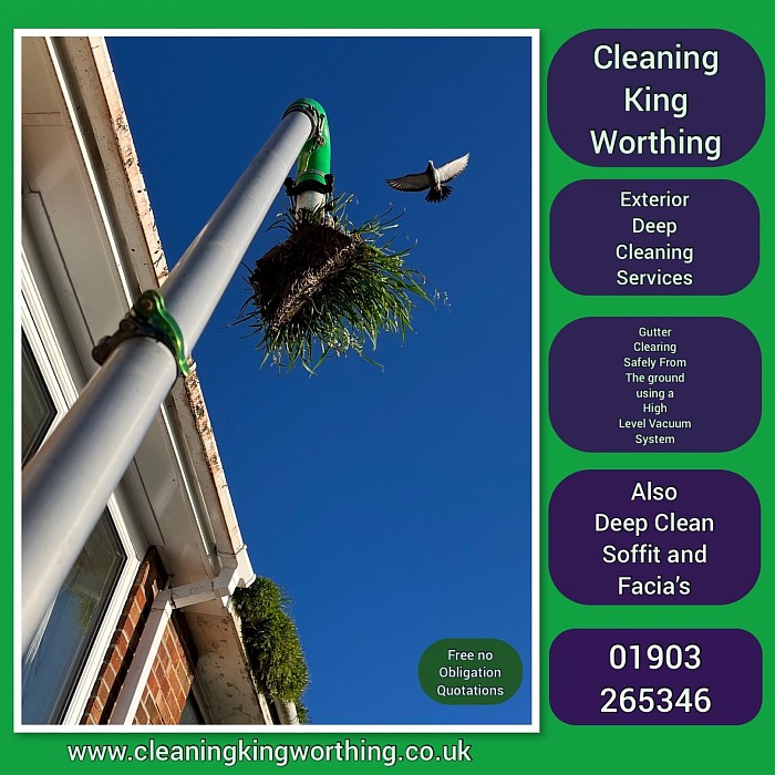 Gutter Cleaning  Worthing